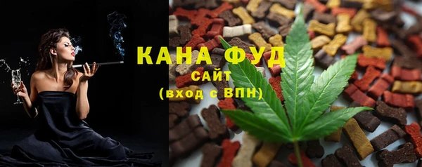 стаф Арсеньев