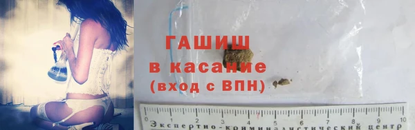 стаф Арсеньев