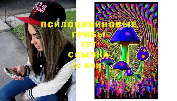 стаф Арсеньев